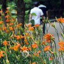 남산 산책로 이미지