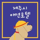 댕댕놀이터 아라점 | 제주시 애견호텔 정리