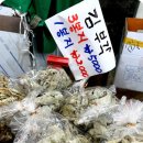 주병이네김