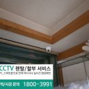 다온시큐리티