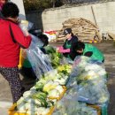 시례경로당? 이미지