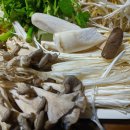 착한소 샤브샤브 이미지