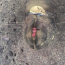 갓골농장 이미지