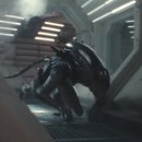에어리언 어스 ALIEN EARTH 초반 감상 후기 개인평점 90점 에피소드 공개 일정