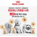 로얄코리아 이미지