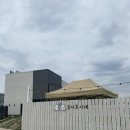 눈이부시개 이미지