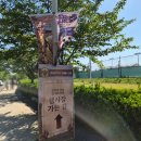 솔마루공원(1) | 화명생태공원 "2026 부산 밀 페스티벌" 아이와 즐긴 체험 행사 솔직 후기
