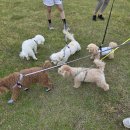 역북문화공원 이미지