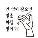 태권슐레 이미지