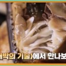 삼천포식당 이미지