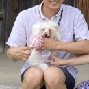 하회로가는펜션형민박 이미지