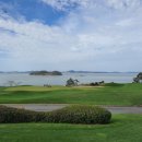 파인비치 이미지