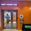 돈워리독 이미지