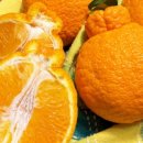 산들강농장 이미지