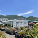 평화공판장 이미지