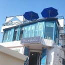 블루하라 이미지