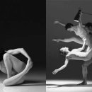 Greenfield 이미지