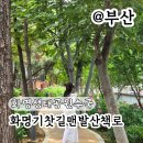 숲속