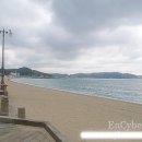 기동민박 이미지