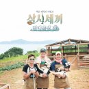 삼시세끼 이미지