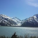 연어의추억 이미지