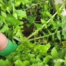 천서농장 이미지