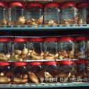 무주천마농장 이미지