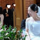 [W7. 아펠가모 선릉 25년 4월 본식 후기]