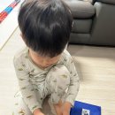 호롤로 hlllo 원지 여권홀더 내돈내산 후기 원지의 하루 유튜버
