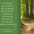 [02월15일(목)]모든 것이 제각기 이미지