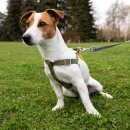 상록동물병원 이미지