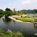 자라뫼마을 이미지