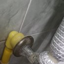 장미여인숙 이미지