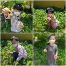 장연초등학교 병설유치원 이미지