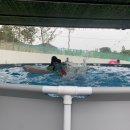 칠갑산황토펜션2 이미지