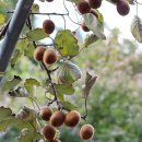 교리농장 이미지