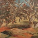 하얀약국 이미지