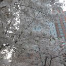 홍주농장 이미지