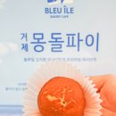 블루일수월점