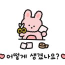 옛날칼국수김밥 이미지