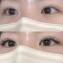 윈터블뷰티