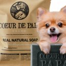 강아지,반하다 이미지