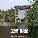 정은수선실 | 2020년 2월 일상