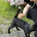 황토스테이일칠구(황토스테이179) 이미지