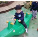 돼지문화원정원 Daum카페
