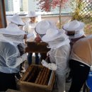 송도2동주민센터 이미지