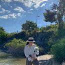 댕댕이 컷 이미지