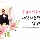 파스텔야영장