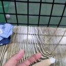 다함께야구왕계양시티점 이미지