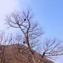 선리마을 이미지